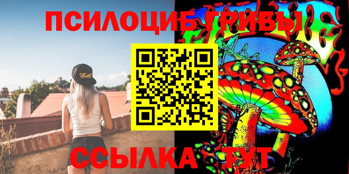 Псилоцибиновые грибы мицелий Котлас