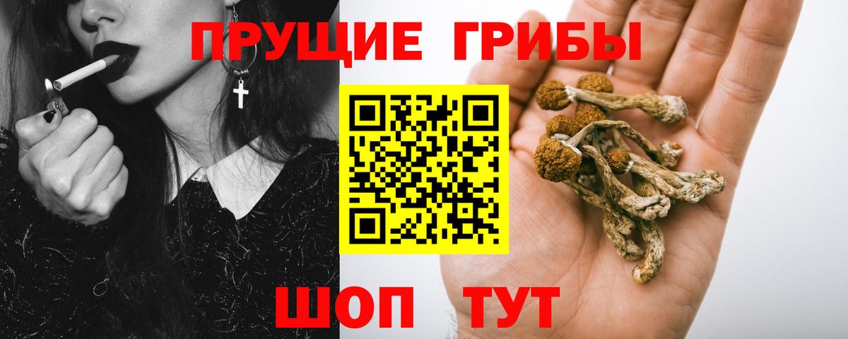 Галлюциногенные грибы Cubensis  Вход с VPN  Котлас 