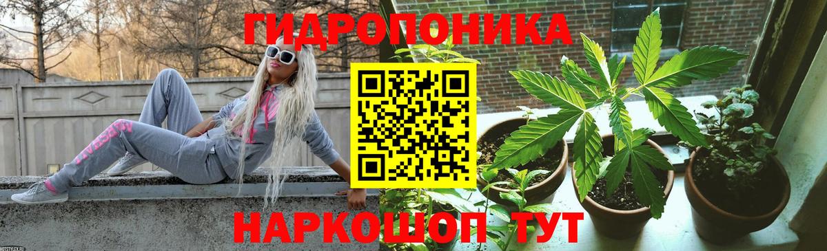 Конопля Ganja  Бошки Шишки MAZAR  Вход с VPN  Котлас  Каннабис Bruce Banner  Бошки марихуана гибрид 